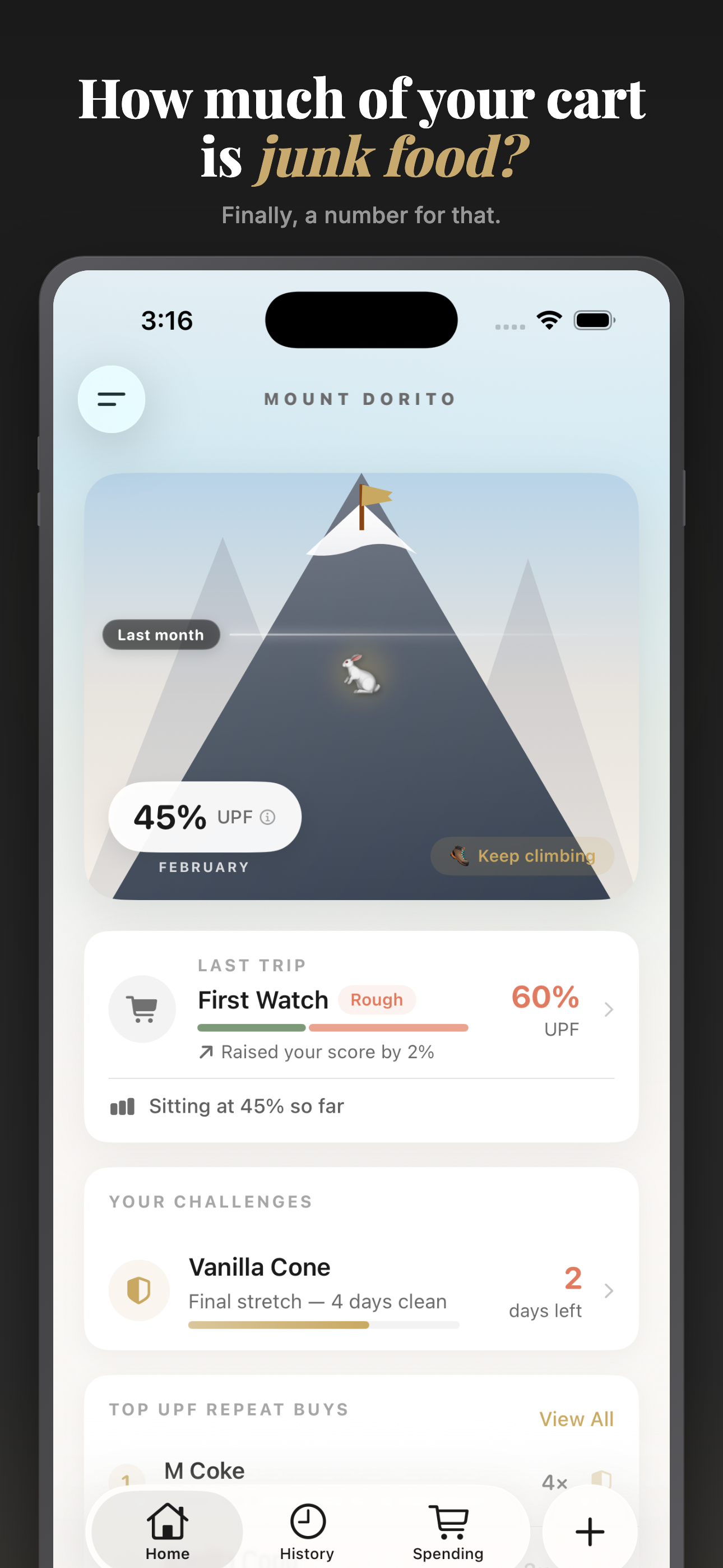 Mount Dorito home screen showing UPF score and mountain climbing visualization